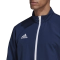 183728.jpg
