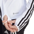 204177.jpg