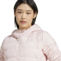 244725.jpg