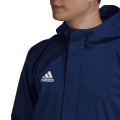 207019.jpg