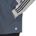 207482.jpg