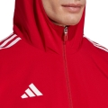 208472.jpg