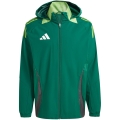 228218.jpg