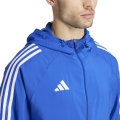 228581.jpg