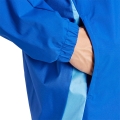 228538.jpg