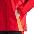 229265.jpg