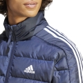 244755.jpg