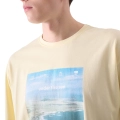 252854.jpg