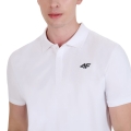 253928.jpg