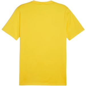 254597.jpg