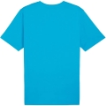 254570.jpg