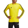 203867.jpg