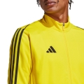 203868.jpg