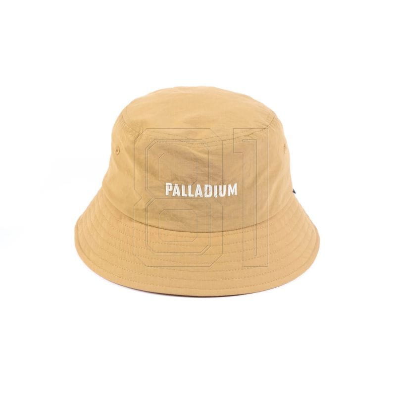 xlarge.jpg