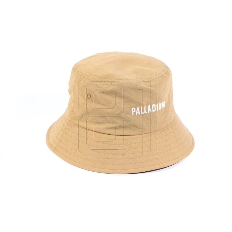 xlarge.jpg