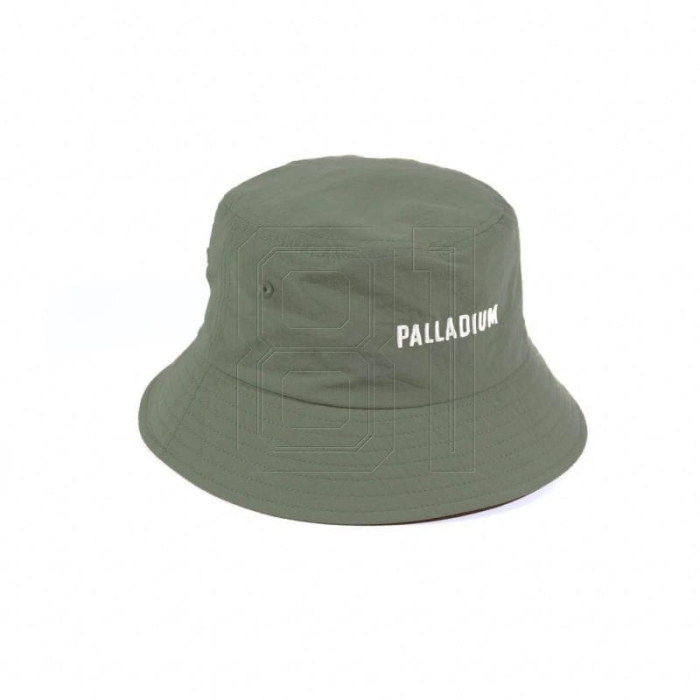 xlarge.jpg