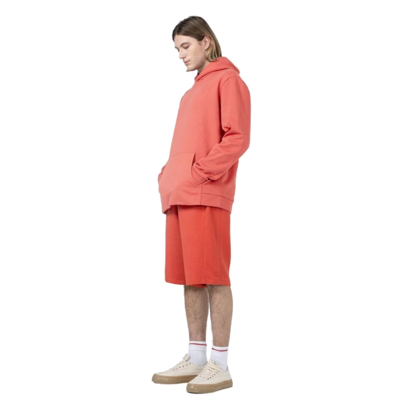 208129.jpg