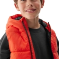 239775.jpg