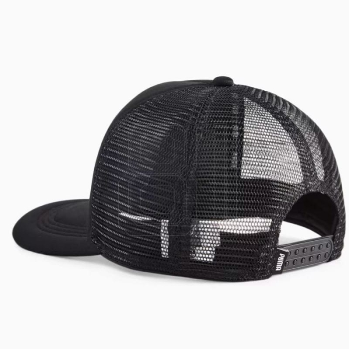 xlarge.jpg