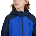251174.jpg