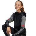 247621.jpg