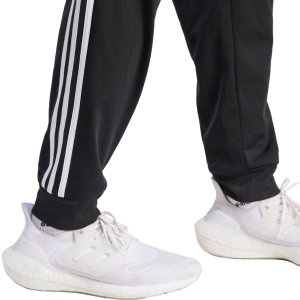 245818.jpg