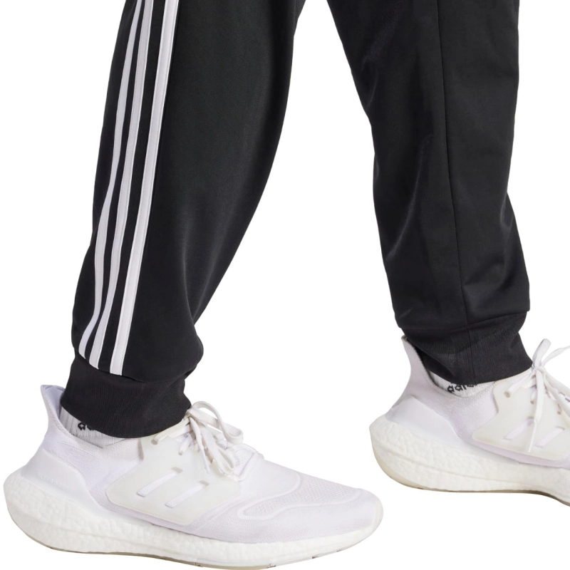 245818.jpg