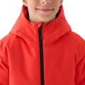 244078.jpg
