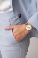 55329_6.jpg