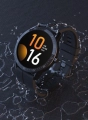 16950_10.jpg