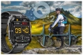 24599_8.jpg