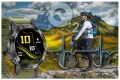 49702_8.jpg