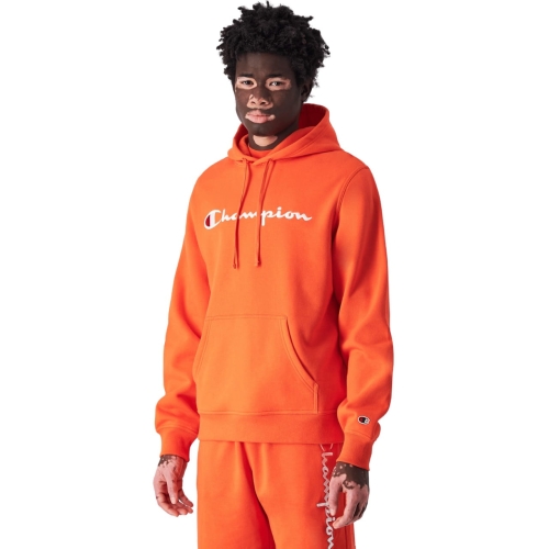 240351.jpg
