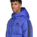 274575.jpg