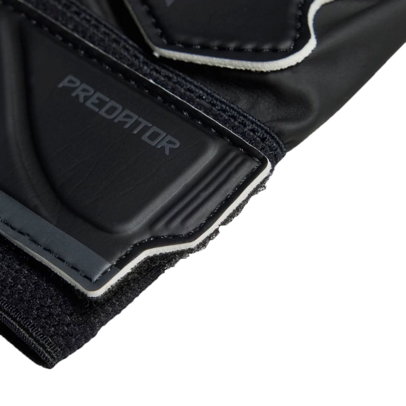 223820.jpg