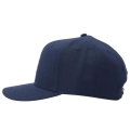 xlarge_clean.jpg