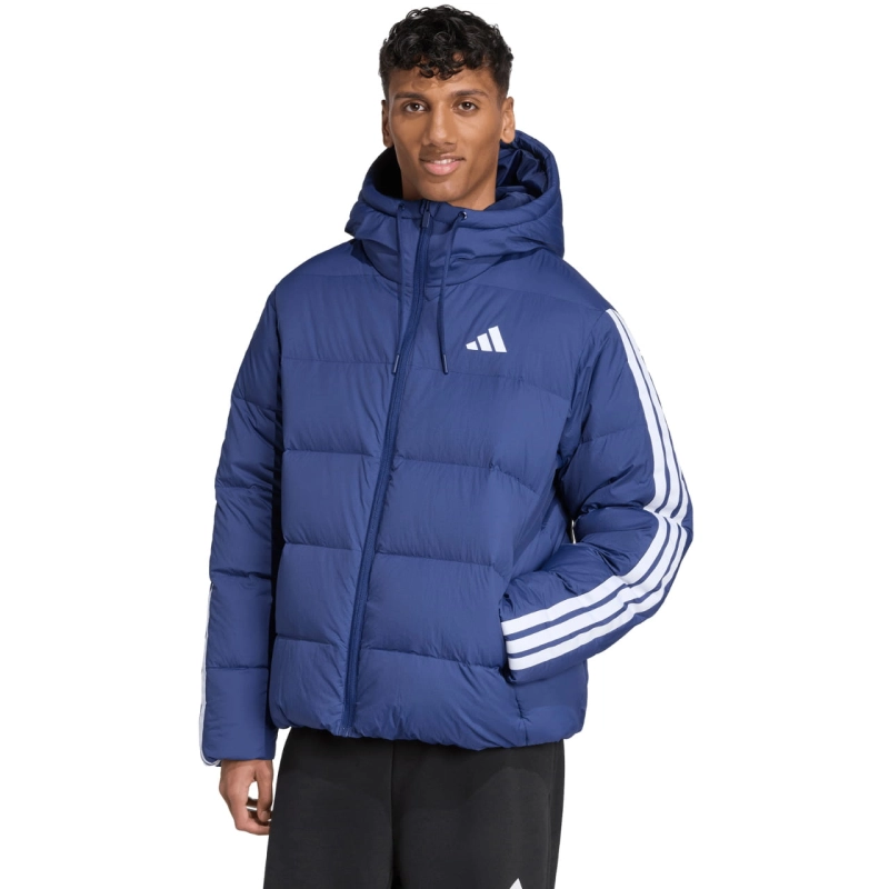276070.jpg