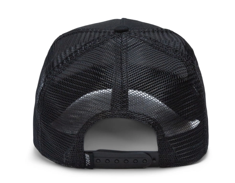 Czapka TROUT FISH Goorin Brothers - modna czapka z daszkiem.jpg