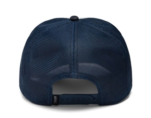 GOORIN CZAPKA BANDIT COYOTE - sklep z czapkami.jpg