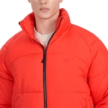 276275.jpg