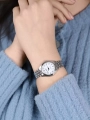 24361_2.webp
