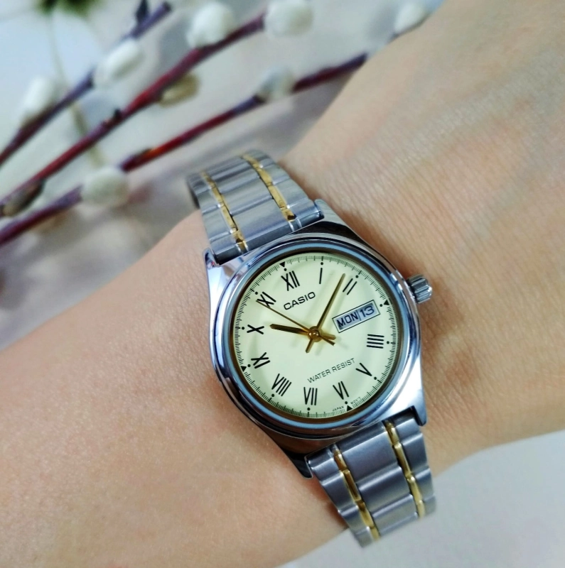 56104_3.jpg
