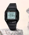 16461_8.webp
