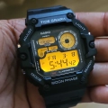 44647_8.webp