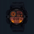 53029_4.webp