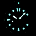 44651_5.jpg