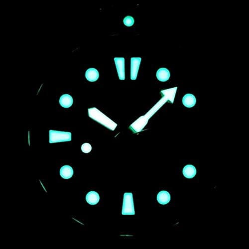 44651_5.jpg