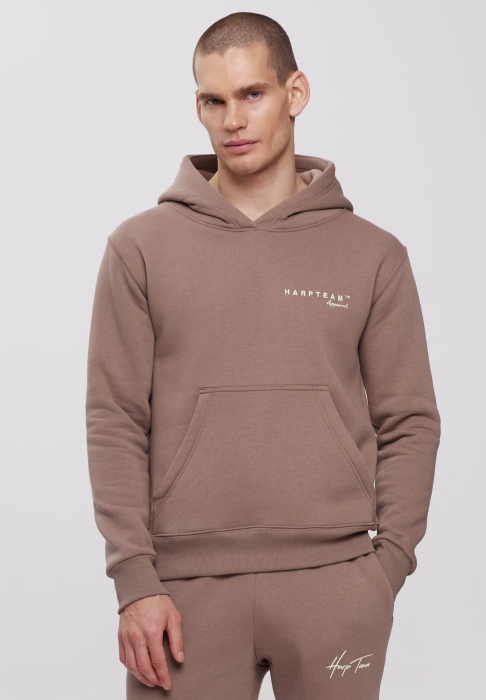 BLUZA HOODIE COZY FRAPPE MĘSKA HARP TEAM 2.jpg