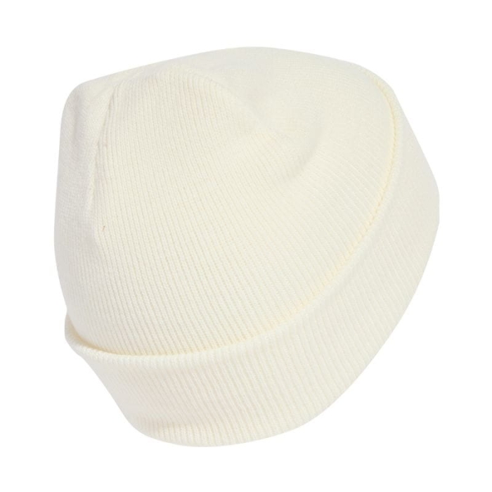 xlarge_clean.jpg