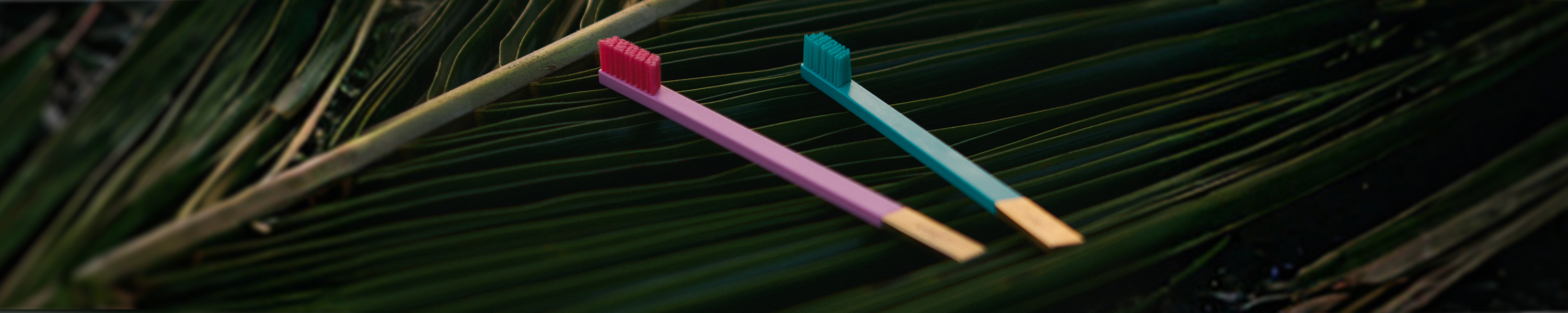 Zrównoważony rozwój w DNA marki Apriori